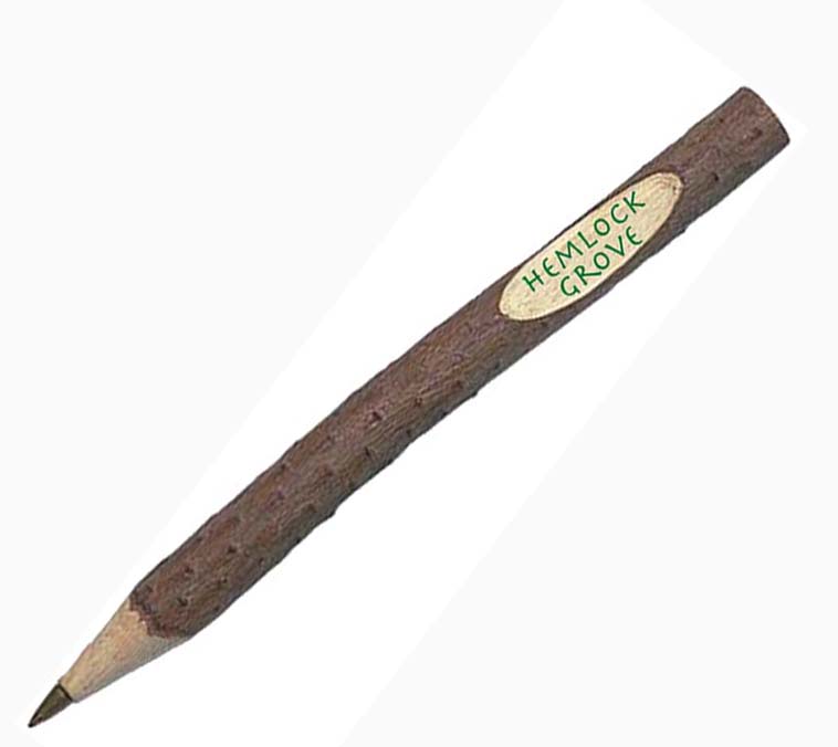 WOODEN TWIG PEN